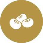 大豆持ち込みの実演体験